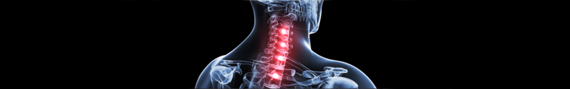 neck